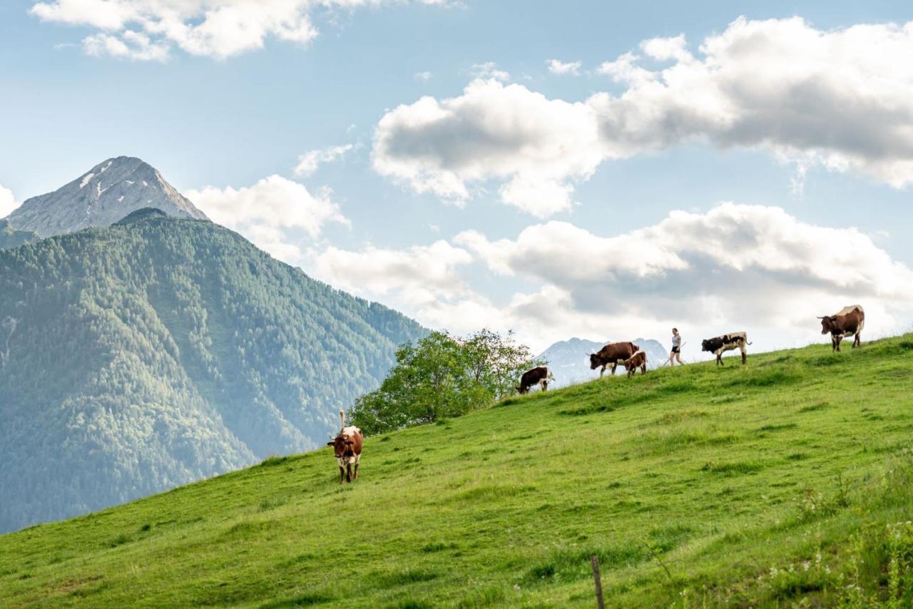 Gasperhof Lägenhet Dellach  Exteriör bild