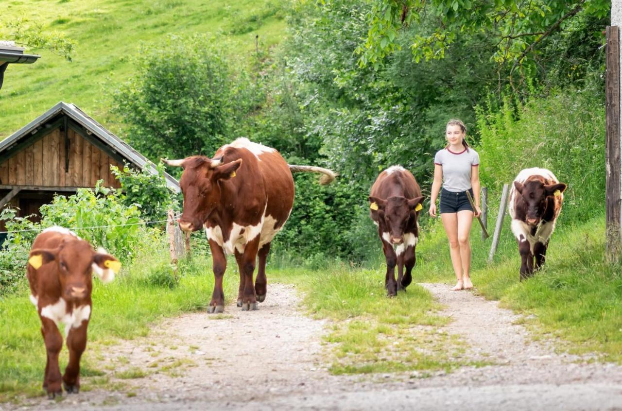 Gasperhof Lägenhet Dellach  Exteriör bild