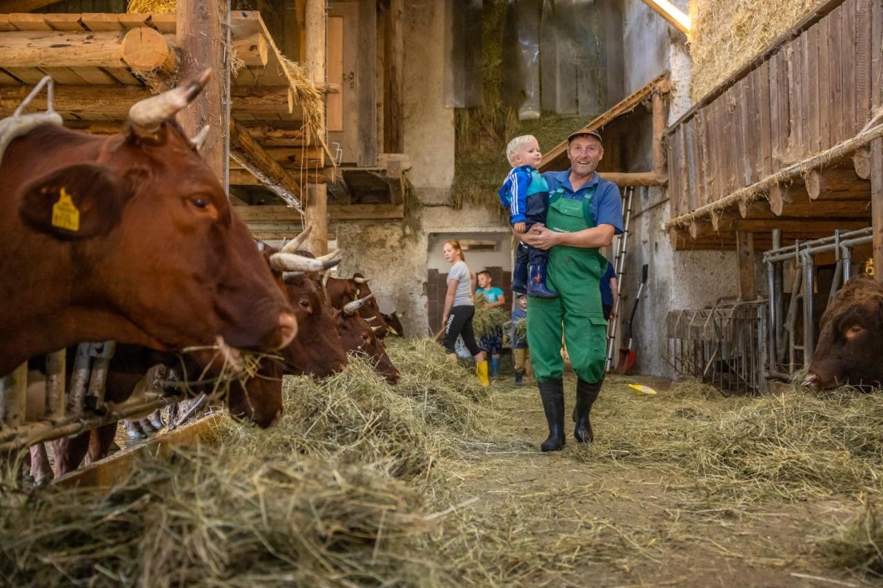 Gasperhof Lägenhet Dellach  Exteriör bild