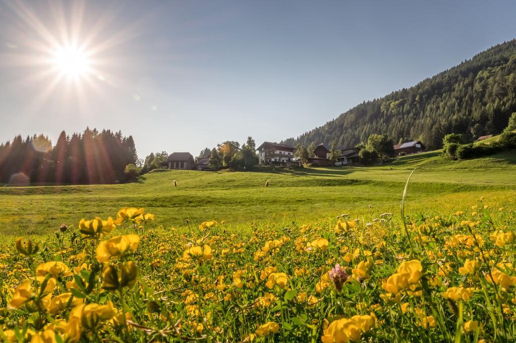 Gasperhof Lägenhet Dellach  Exteriör bild